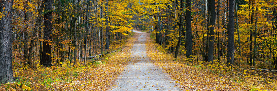 Bon Echo Colour