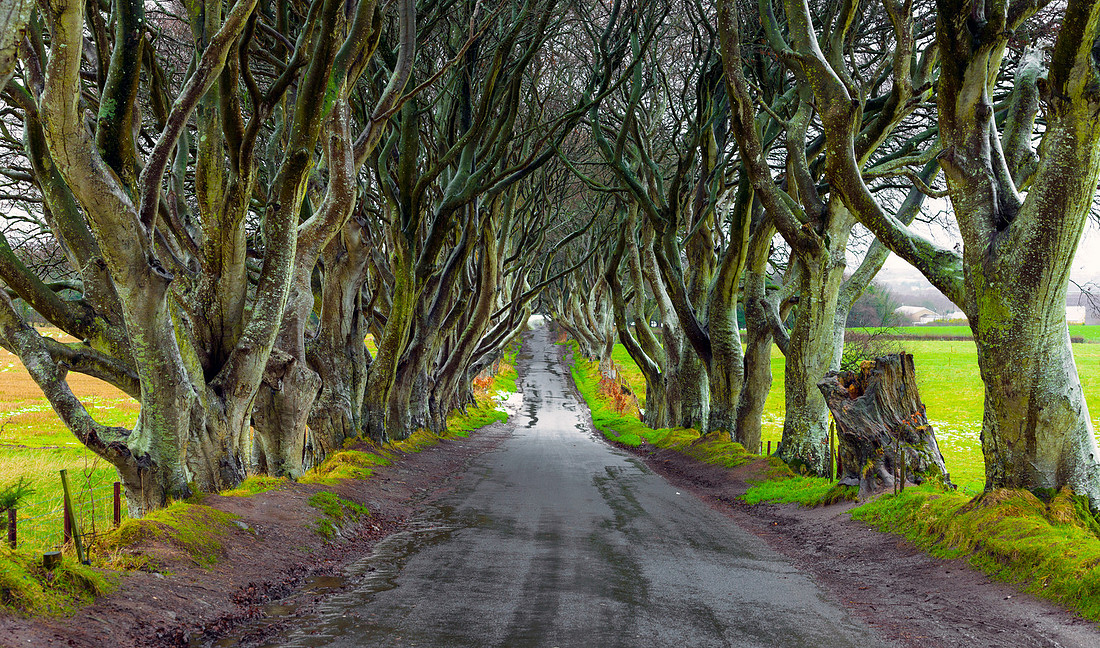 Roads to Sorrow