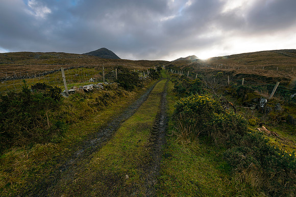 Dreams of Galway