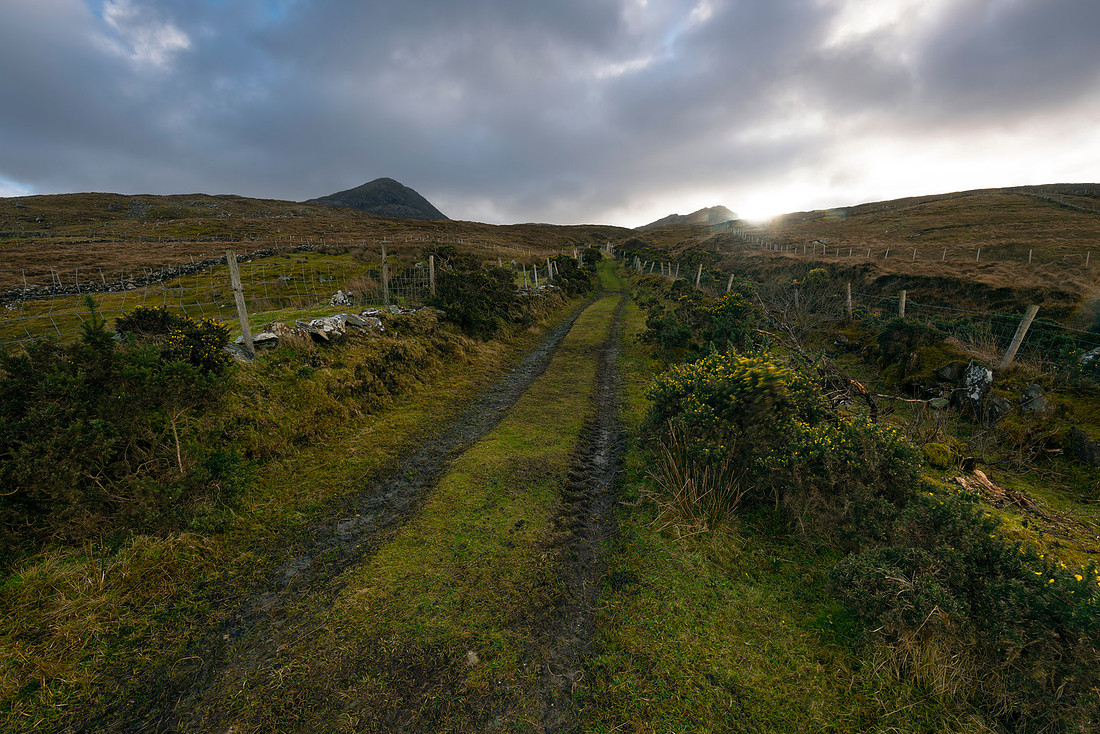 Dreams of Galway
