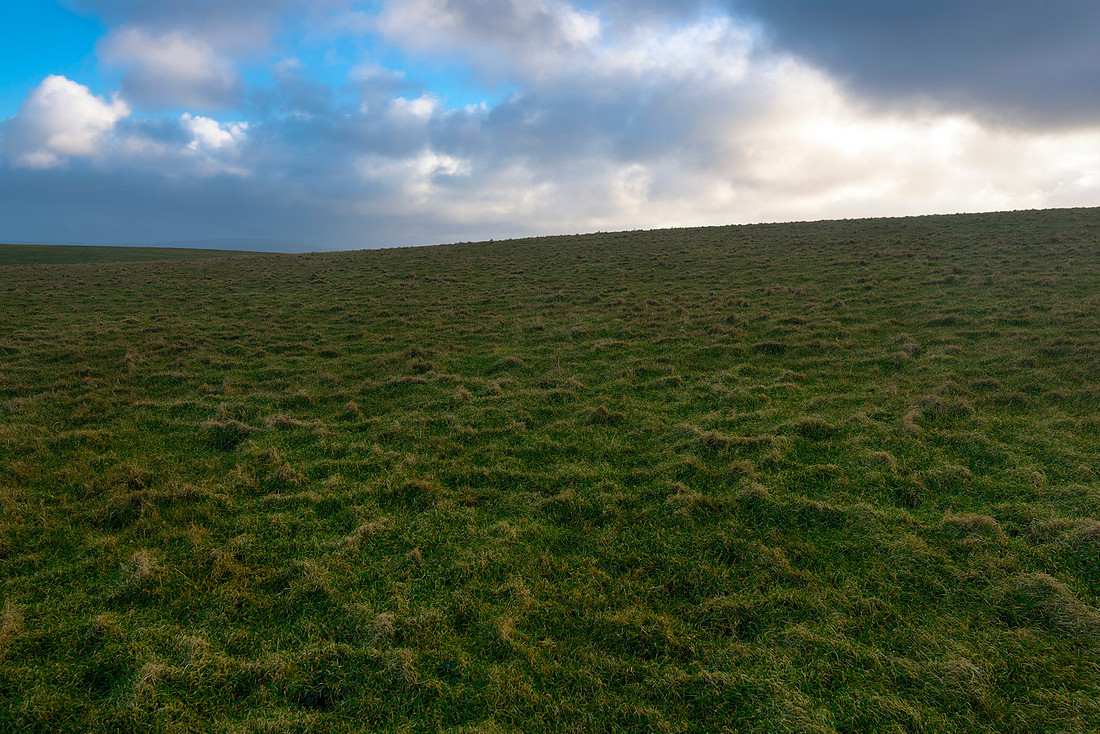 Green Space