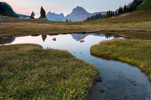Border Reflections