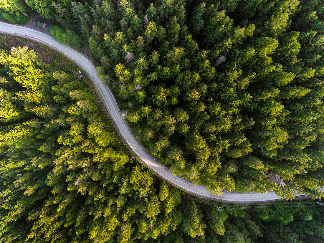 Green Roads