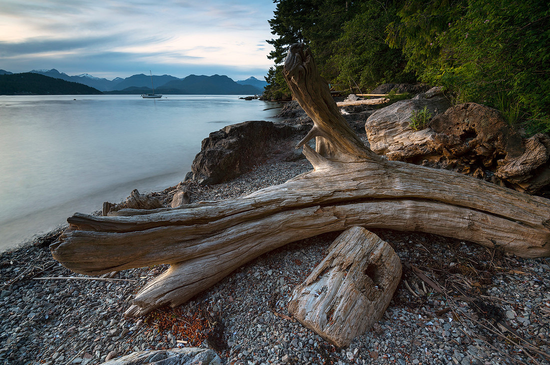Broken Shores