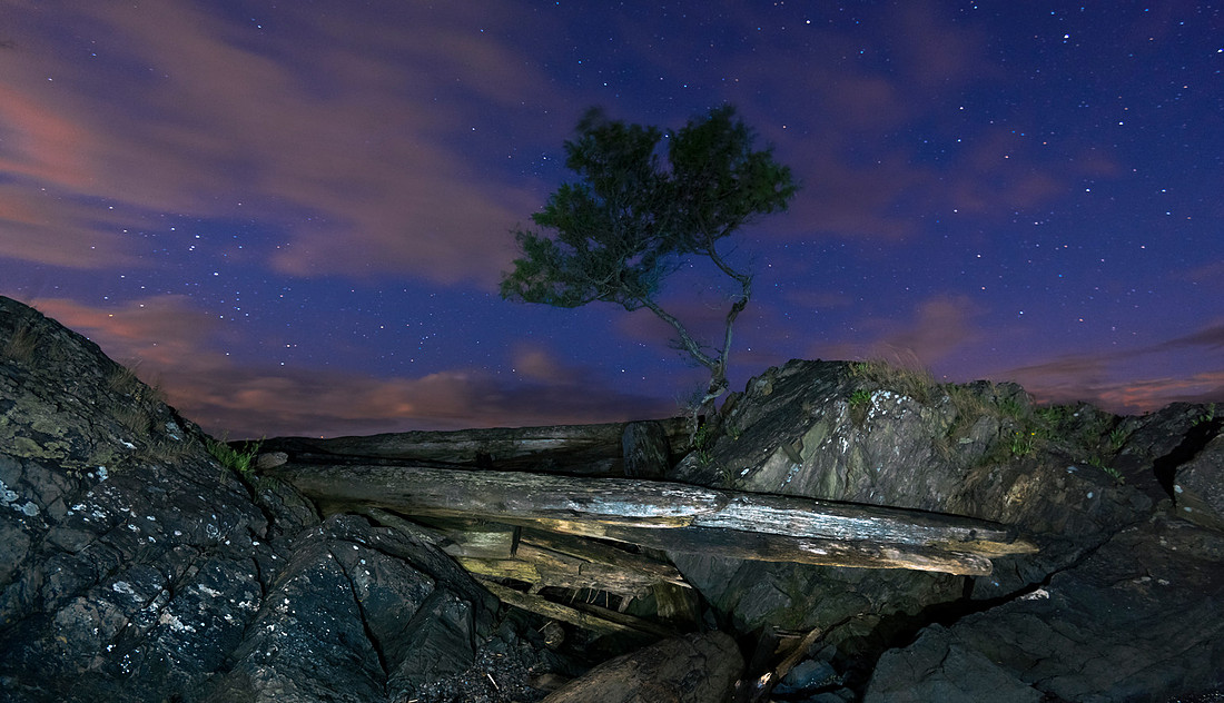 Fairy Fire