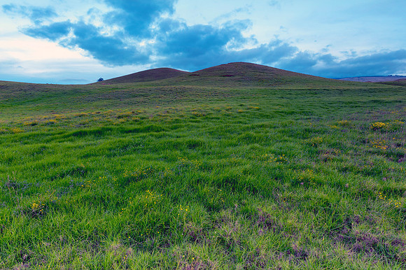 Green Land