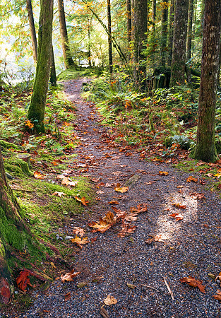 Meander