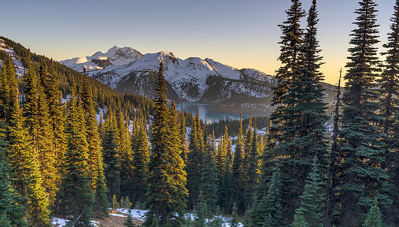 Garibaldi Alpine