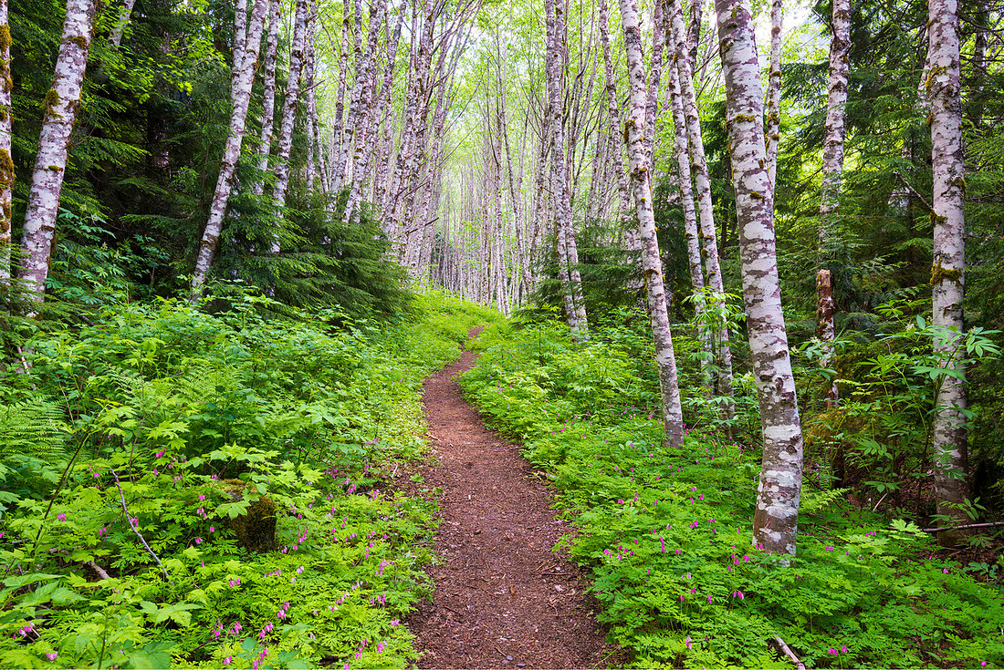 Trailing