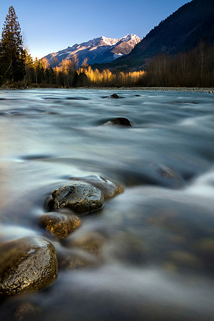 Silver Evening