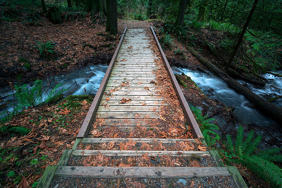Bridges to Eden