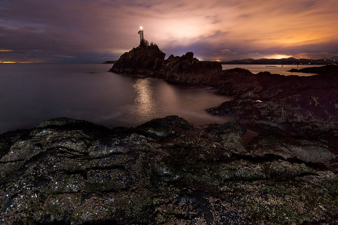 Cape Nights