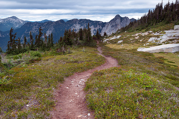 Paths