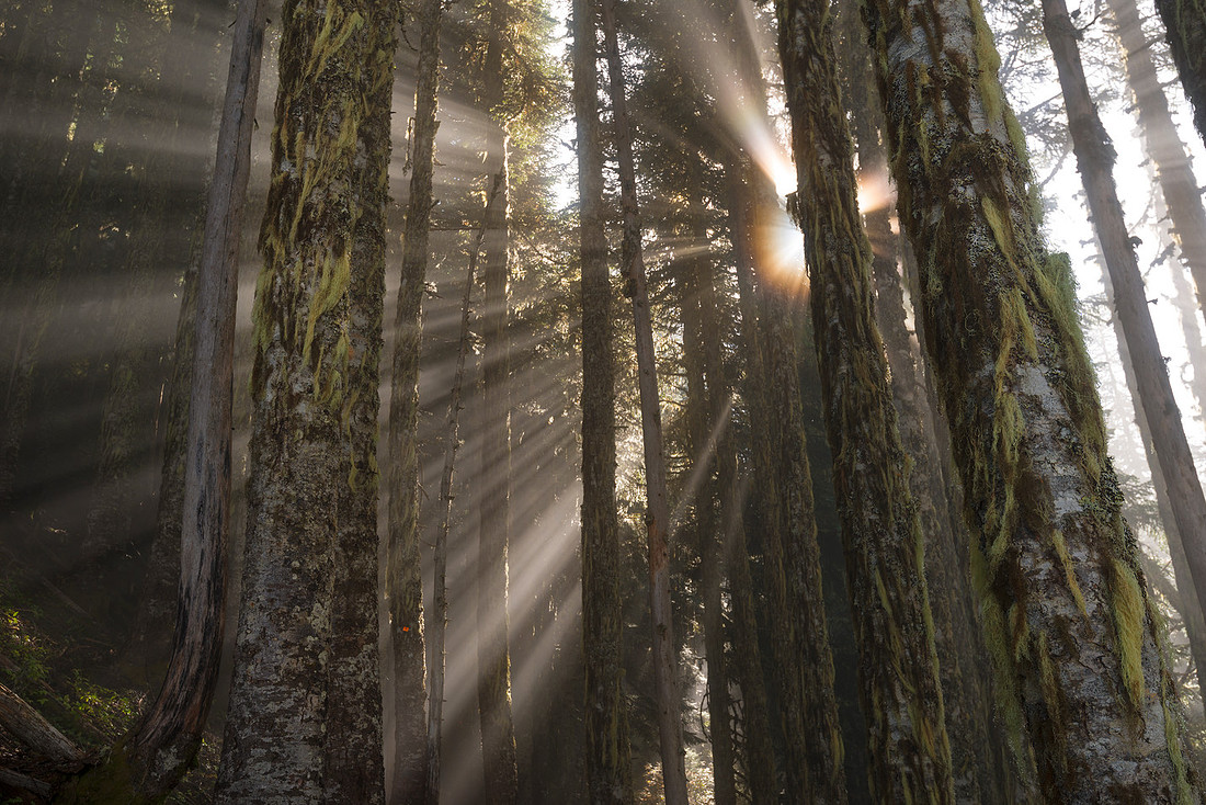 Beams of Love