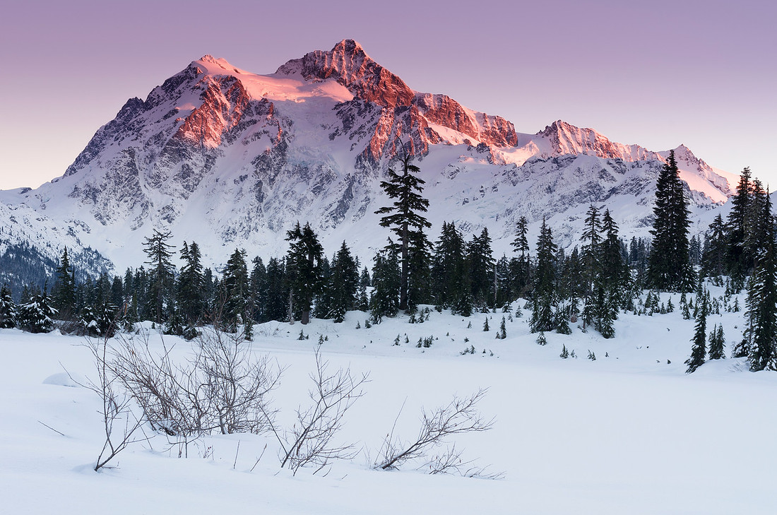 Shuksan Blood