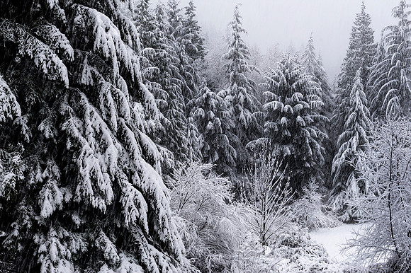 Snowfall