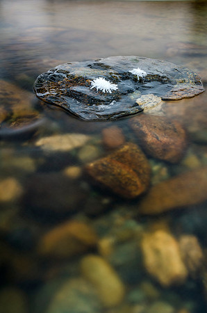 Below Zero