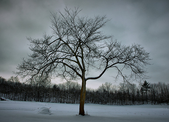Sleepy Hollow