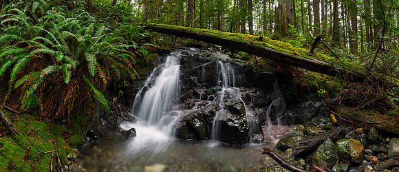 Killarney Creek