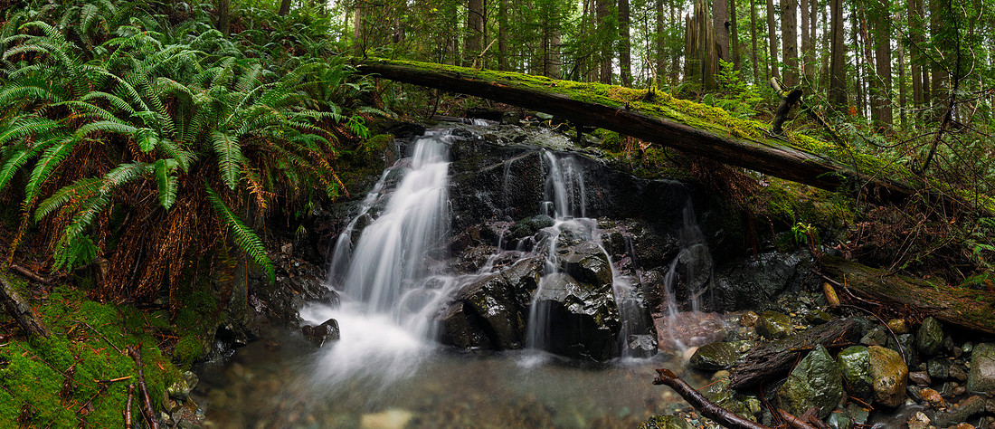 Killarney Creek