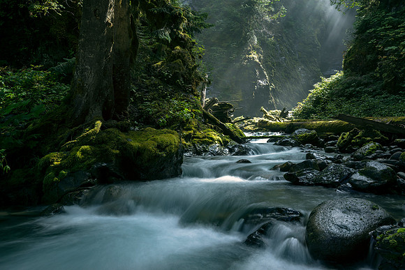Peace Rays