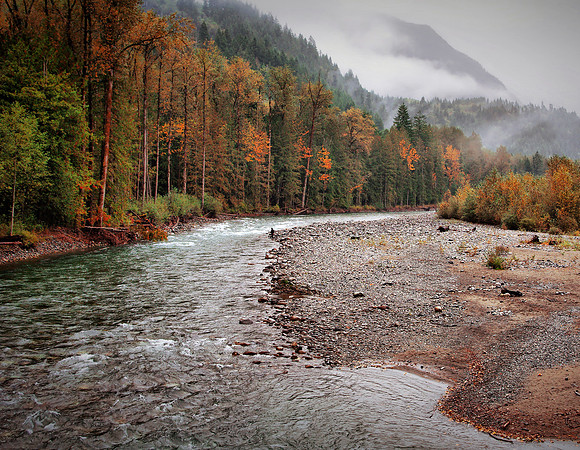 Fly Fishing