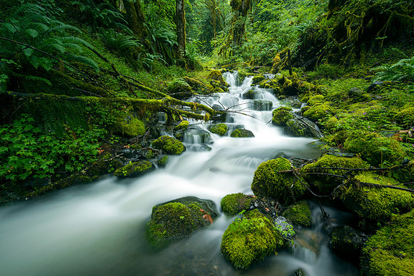 Emerald Spring
