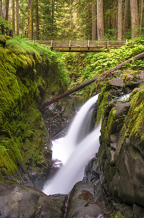 Sol Duc