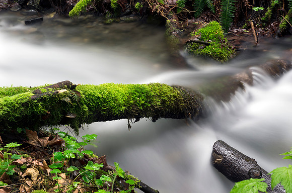 Cascade Mist