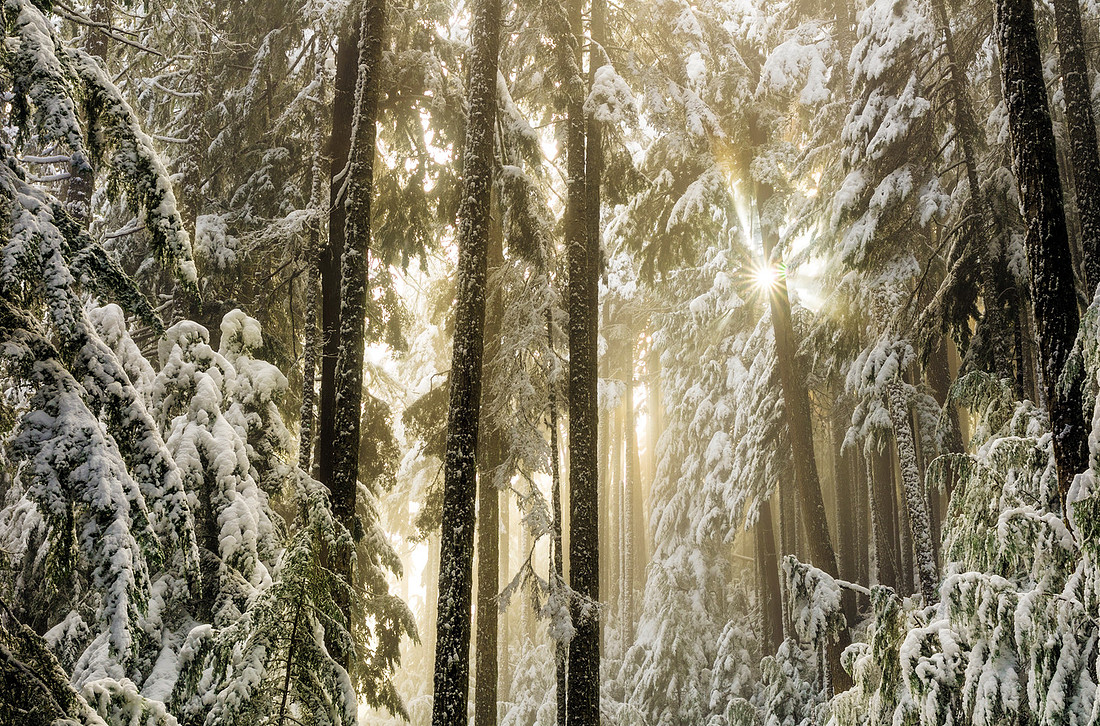 Snow Beams