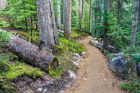 One Path