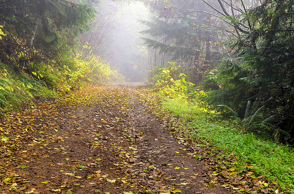 Liumchen Mist