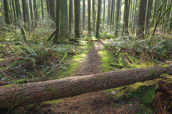 Broken Paths