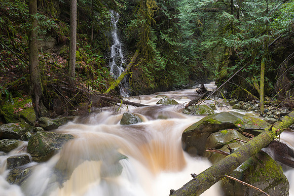 Cascades of Cypress